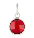 Amore Birth Stone Charms