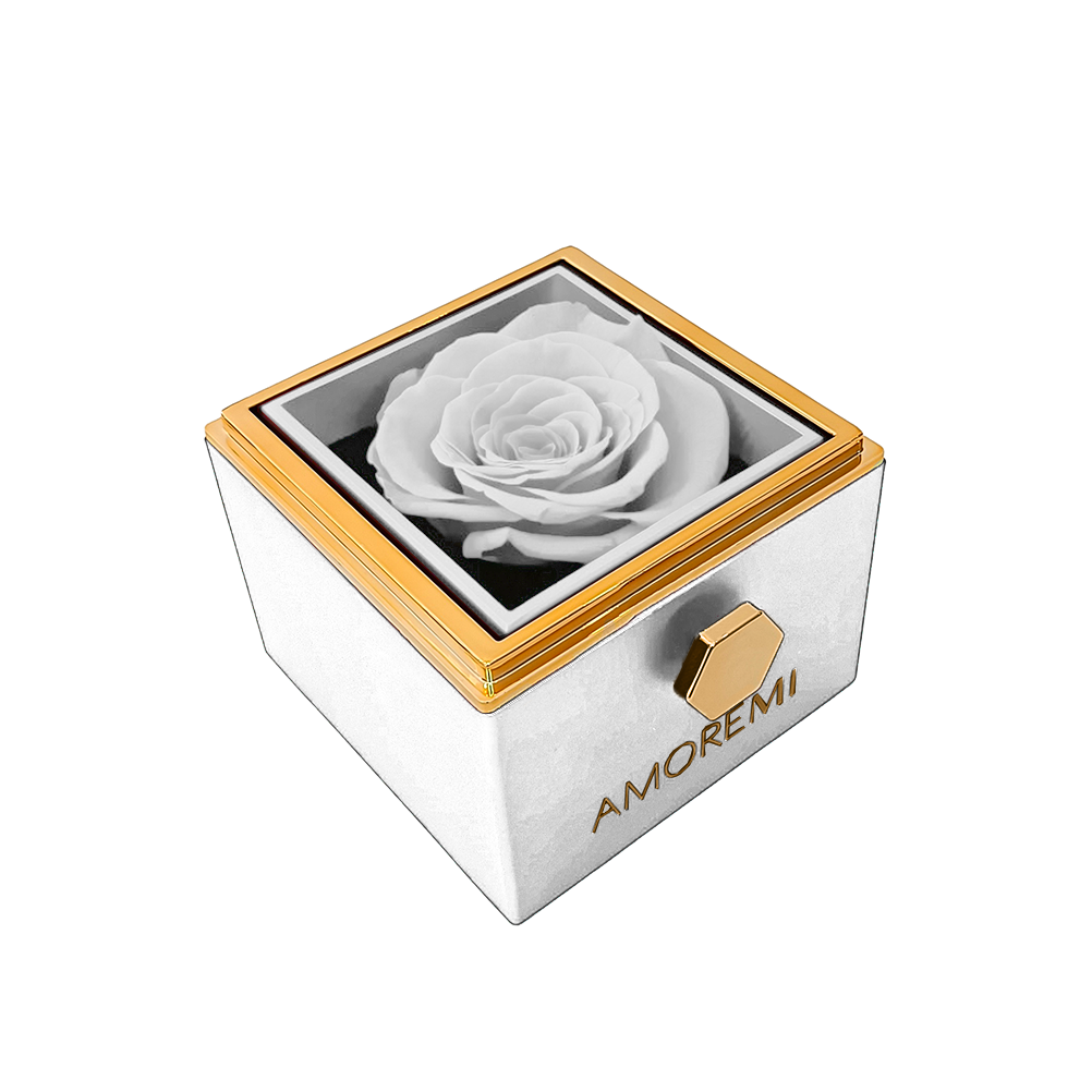 SWEETIME Pink Rose Gift Box Enchanted Real Rose with Ruby Rose Brooch, Eternal Rose Flower in Ring Box, Handmade Preserved Rose, Gift for her on
